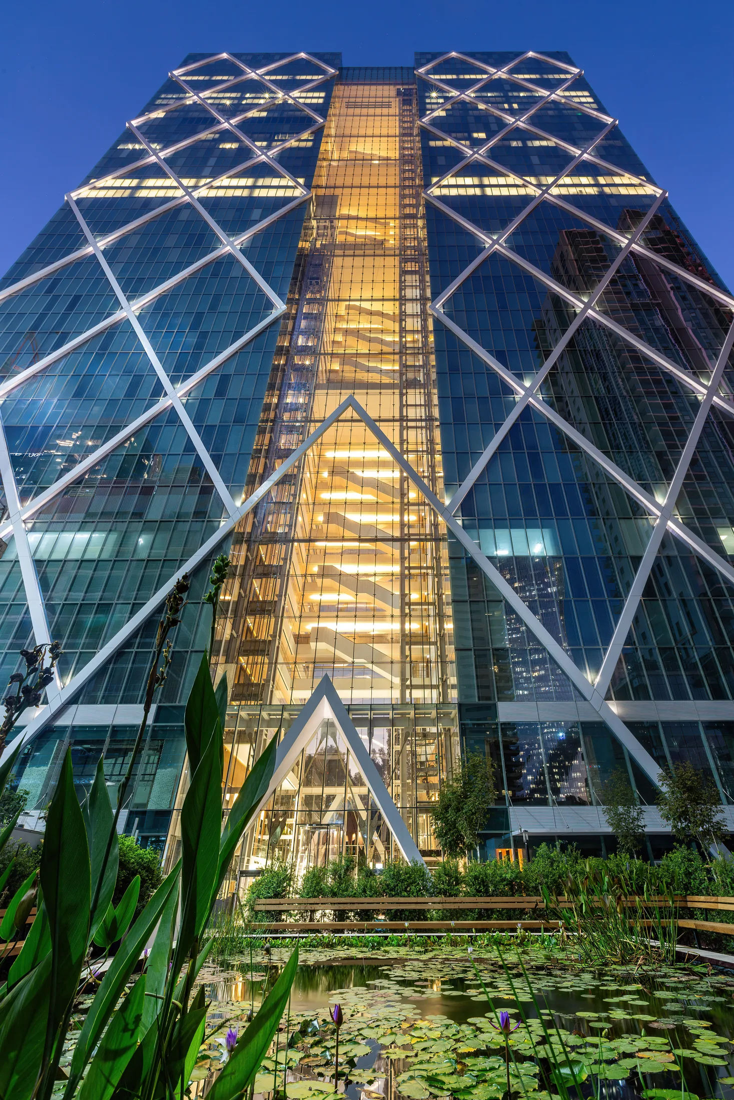 Landmark TLV