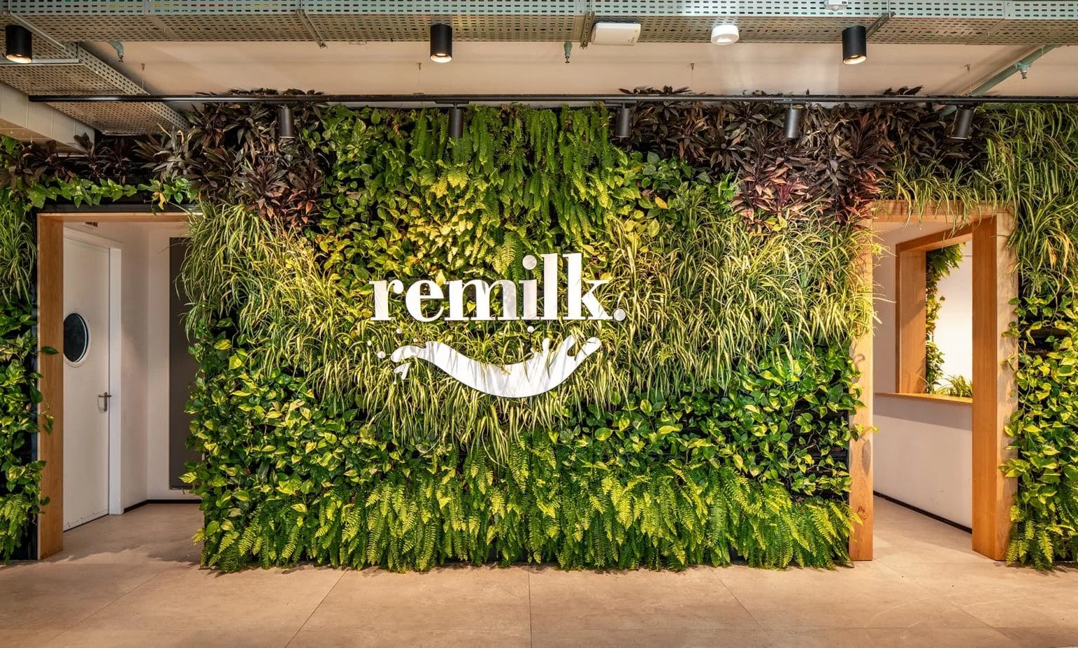 Remilk Offices